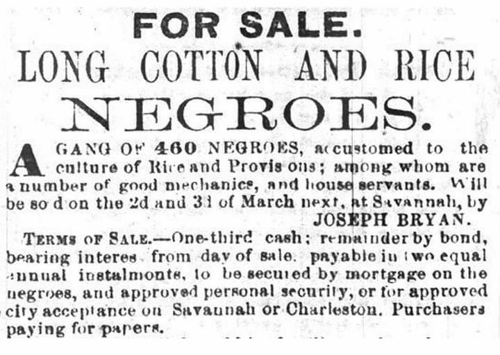 #5  Peek in our e-book: “Out of Sight’ for beginning Black Genealogists