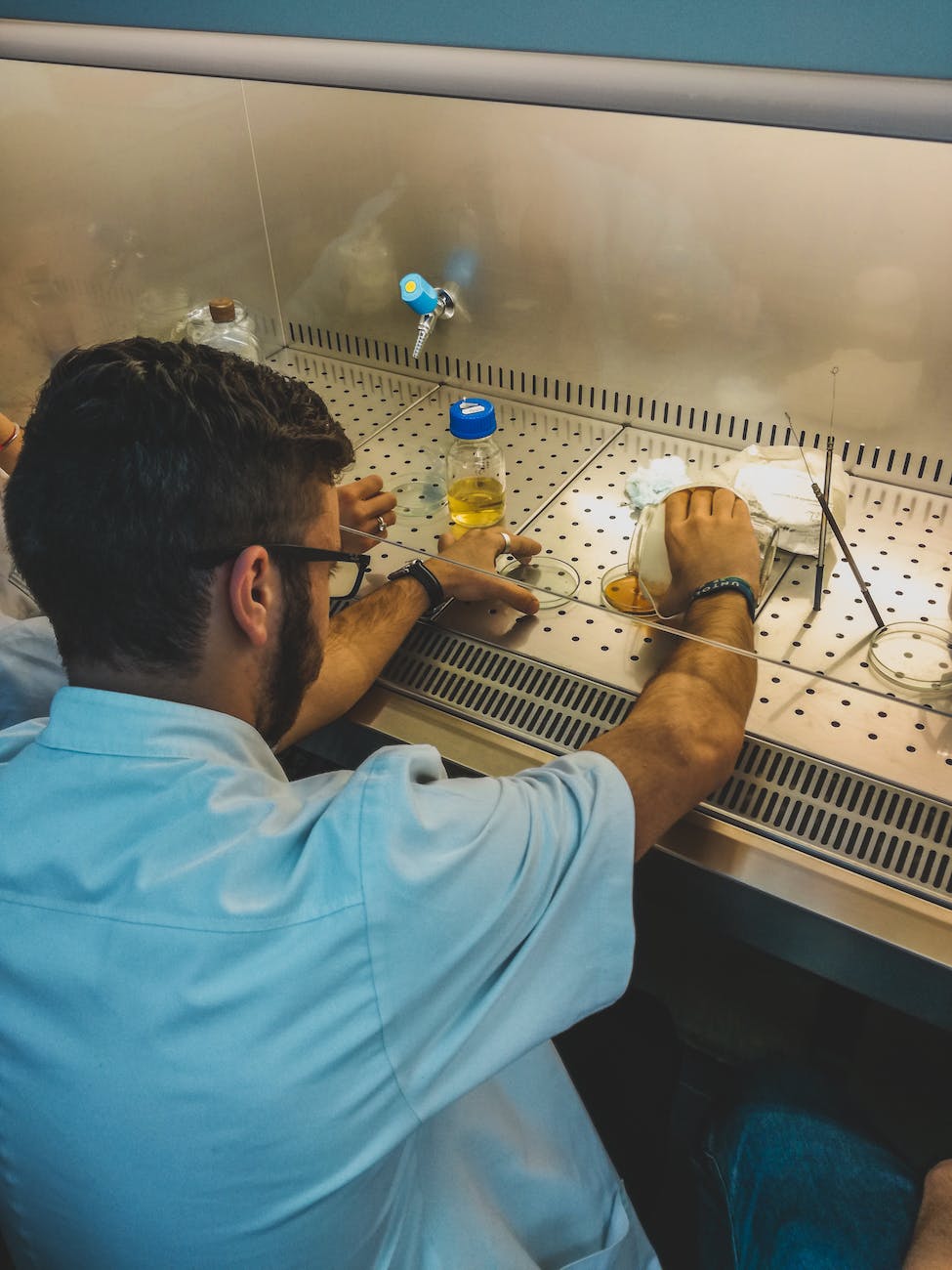 Consumers interest in genealogy/ancestry research reaches epic proportion