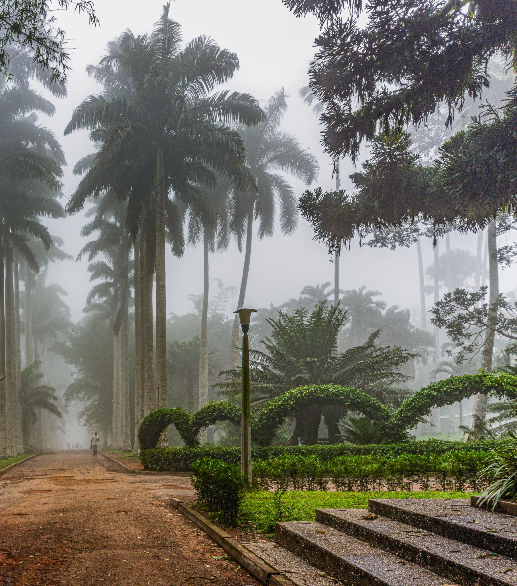 Beautiful Aburi Botanical Gardens